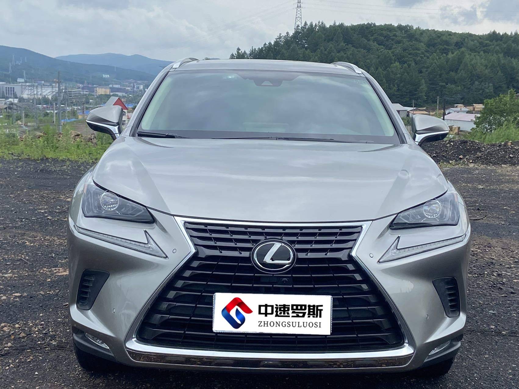 Lexus NX 2020 200 All-wheel Drive Frontier Edition National VI