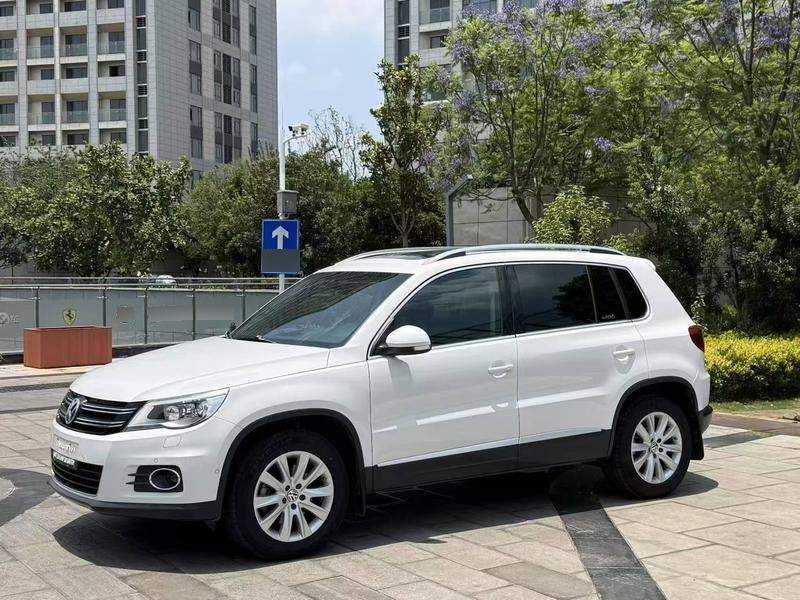 Rust Inspection Sheets Tiguan 2017 300TSI Automatic 2WD Silk Road Fashion Edition Used car ...